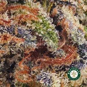 Buy Vanilla Kush AAA wc cannabis weed dispensary & online pot shop