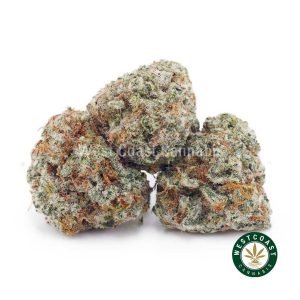 Buy Strawberry Cough AAAA (Popcorn Nugs) wc cannabis weed dispensary & online pot shop