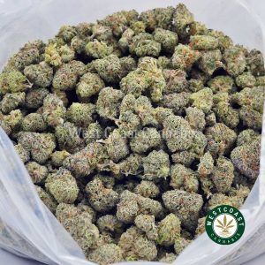 Buy Berry Gelato AAAA (Popcorn Nugs) wc cannabis weed dispensary & online pot shop