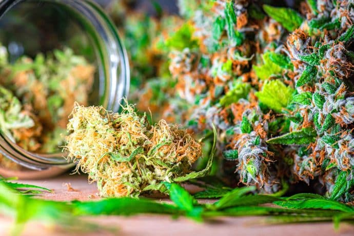 can you overdose on weed banner
