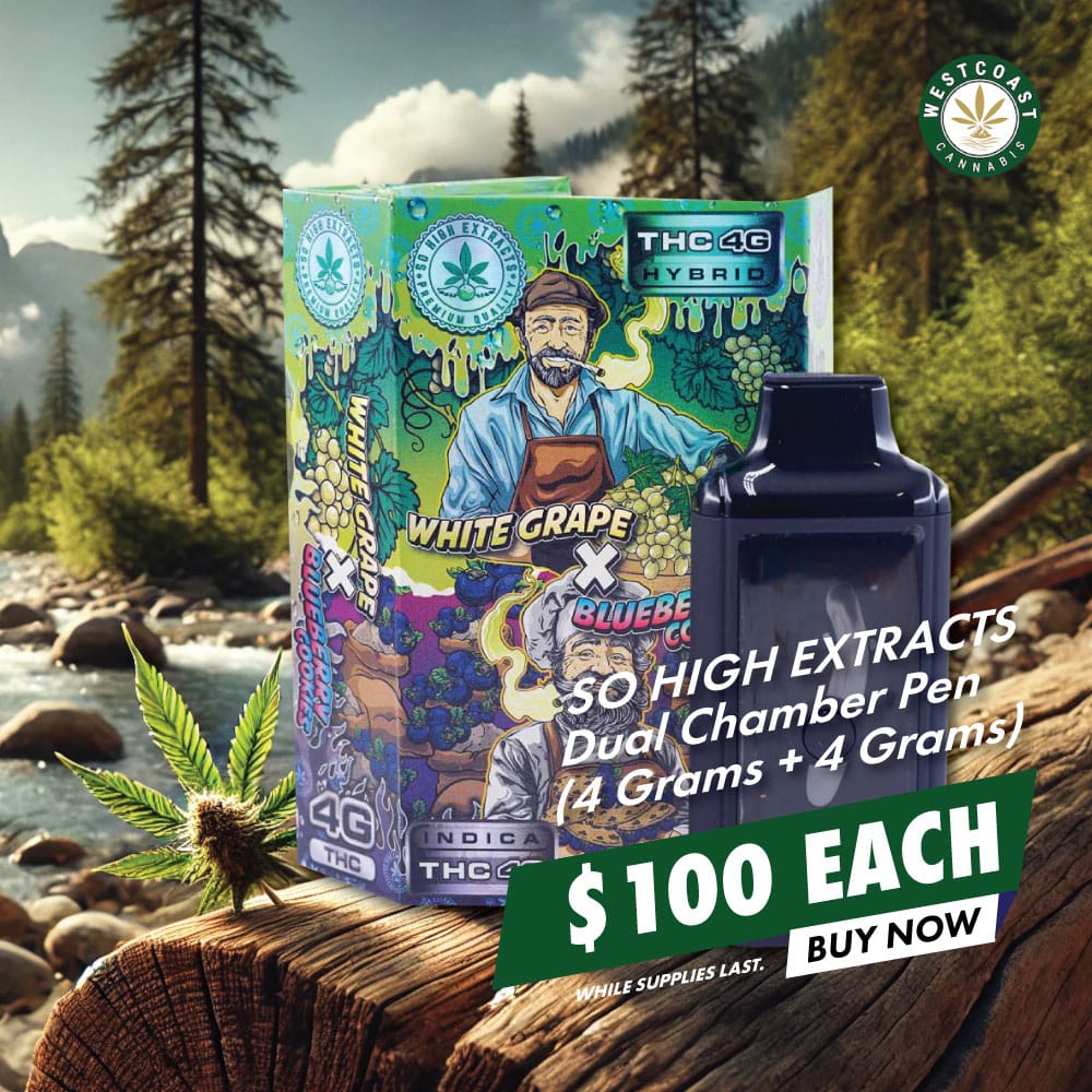 wcc sohigh 4x4g banner