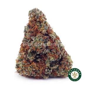 Buy Gelato #33 AAA wc cannabis weed dispensary & online pot shop