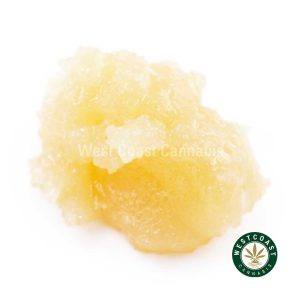 W872A1 BLUEBERRYMUFFIN CAVIAR WCCANNABIS