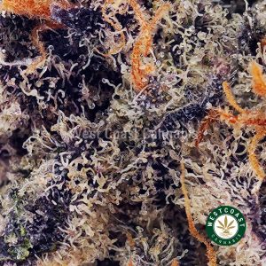 Buy Grape Ape AAAA wc cannabis weed dispensary & online pot shop