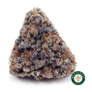 Buy Blueberry Gelato AAAA wc cannabis weed dispensary & online pot shop
