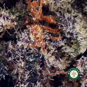 Buy Blueberry Gelato AAAA wc cannabis weed dispensary & online pot shop