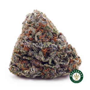 Buy Chocolate Cake Crasher AAAA+ wc cannabis weed dispensary & online pot shop