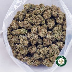 Buy Lychee Punch AAAA wc cannabis weed dispensary & online pot shop