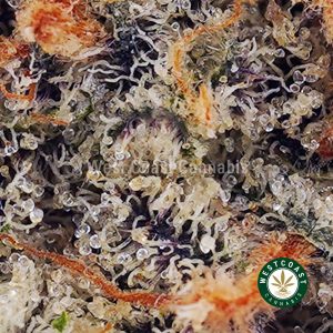 Buy LA Kush Cake AAAA wc cannabis weed dispensary & online pot shop