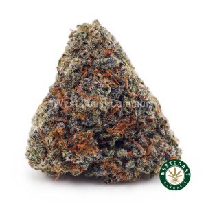 Buy White Tahoe Cookies AAAA wc cannabis weed dispensary & online pot shop