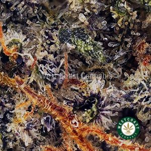 Buy White Tahoe Cookies AAAA wc cannabis weed dispensary & online pot shop