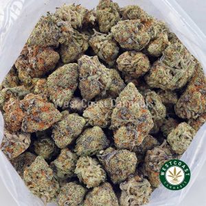 Buy Pineapple Punch AAAA wc cannabis weed dispensary & online pot shop