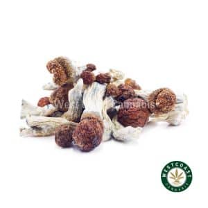 Buy Shrooms - Penis Envy #6 wc cannabis weed dispensary & online pot shop Buy Shrooms - Penis Envy #6 wc cannabis weed dispensary & online pot shop