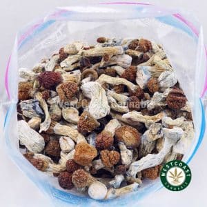 Buy Shrooms - Penis Envy #6 wc cannabis weed dispensary & online pot shop Buy Shrooms - Penis Envy #6 wc cannabis weed dispensary & online pot shop