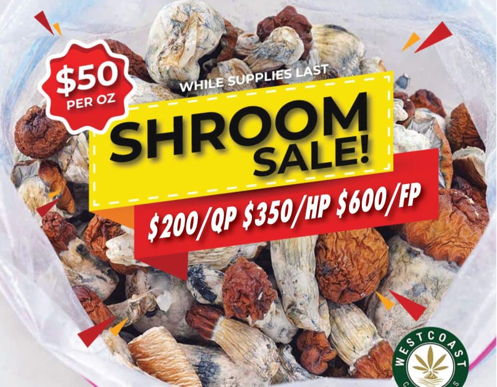 wcc shroom sale banner
