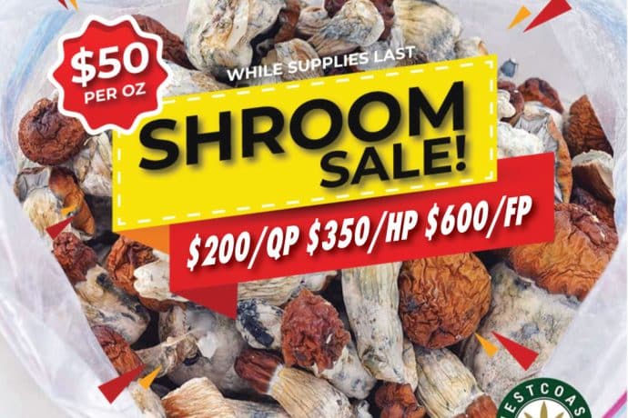 wcc shroom sale banner