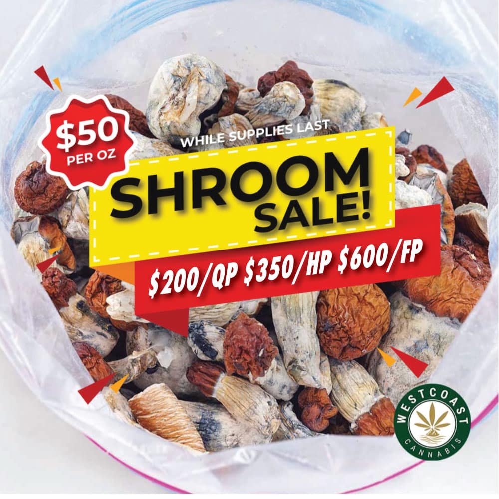 wcc shroom sale banner
