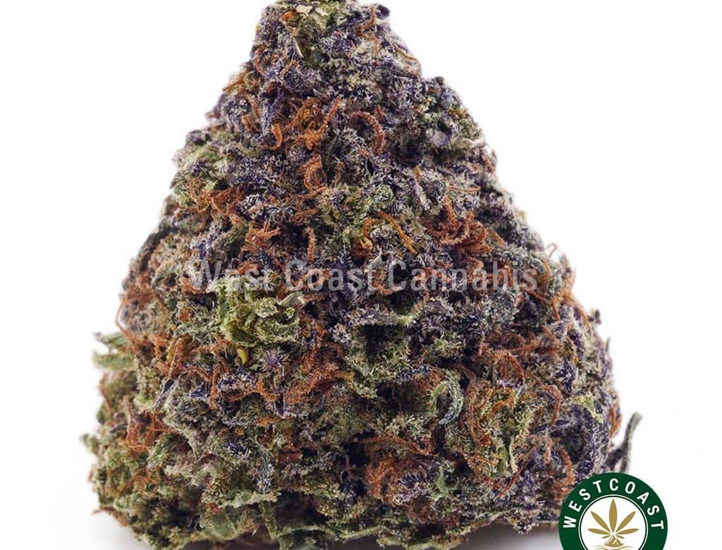 Buy Pink Bubba AAA wc cannabis weed dispensary & online pot shop