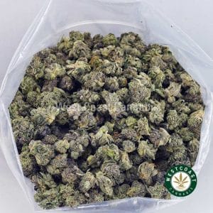 Buy Peaches and Cream AAAA (Popcorn Nugs) wc cannabis weed dispensary & online pot shop Buy Peaches and Cream AAAA (Popcorn Nugs) wc cannabis weed dispensary & online pot shop