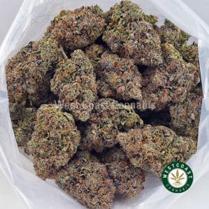 Buy 91 Octane AAAA+ wc cannabis weed dispensary & online pot shop Buy 91 Octane AAAA+ wc cannabis weed dispensary & online pot shop