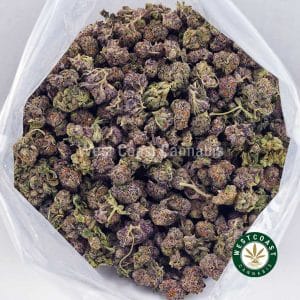 Buy Orange Crush AAAA (Popcorn Nugs) wc cannabis weed dispensary & online pot shop Buy Orange Crush AAAA (Popcorn Nugs) wc cannabis weed dispensary & online pot shop