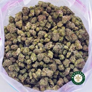 Buy Tropical Burst AAAA (Popcorn Nugs) wc cannabis weed dispensary & online pot shop Buy Tropical Burst AAAA (Popcorn Nugs) wc cannabis weed dispensary & online pot shop