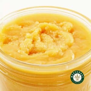 X211A3 GELATO#33 CAVIAR WCCANNABIS Buy Caviar - Gelato #33 (Hybrid) at Wccannabis Online Shop