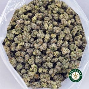 Buy Vanilla Haze AAAA (Popcorn Nugs) wc cannabis weed dispensary & online pot shop