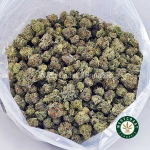 X495A3 GUAVACOOKIESPOPCORN WCCANNABIS Buy Guava Cookies AAAA (Popcorn Nugs) wc cannabis weed dispensary & online pot shop