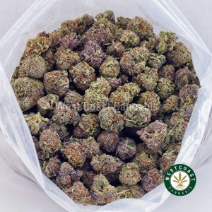 Y418A3 PURPLEKUSH WCCANNABIS Buy Purple Kush AAA wc cannabis weed dispensary & online pot shop