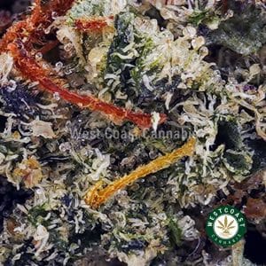 Buy Super Skunk AA wc cannabis weed dispensary & online pot shop Buy Super Skunk AA wc cannabis weed dispensary & online pot shop