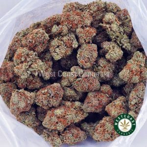 Buy Super Skunk AA wc cannabis weed dispensary & online pot shop Buy Super Skunk AA wc cannabis weed dispensary & online pot shop