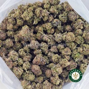 Buy King's Kush AAAA (Popcorn Nugs) wc cannabis weed dispensary & online pot shop Buy King's Kush AAAA (Popcorn Nugs) wc cannabis weed dispensary & online pot shop