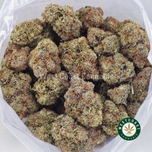 Buy Bacio Gelato AAAA wc cannabis weed dispensary & online pot shop