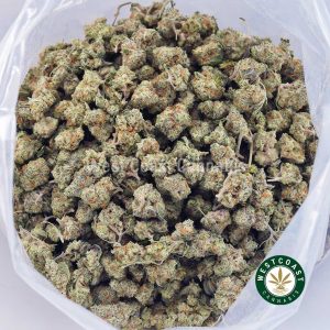 Buy Fortune Cookies AAAA (Popcorn Nugs) wc cannabis weed dispensary & online pot shop