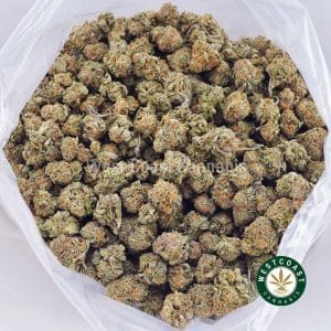 Buy Frosted Fruit Cake AAAA (Popcorn Nugs) wc cannabis weed dispensary & online pot shop Buy Frosted Fruit Cake AAAA (Popcorn Nugs) wc cannabis weed dispensary & online pot shop