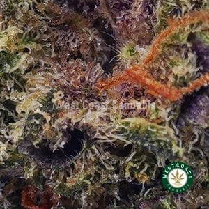 Buy Master Yoda AAA wc cannabis weed dispensary & online pot shop Buy Master Yoda AAA wc cannabis weed dispensary & online pot shop