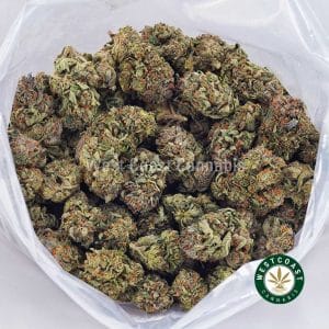 Buy Master Yoda AAA wc cannabis weed dispensary & online pot shop Buy Master Yoda AAA wc cannabis weed dispensary & online pot shop