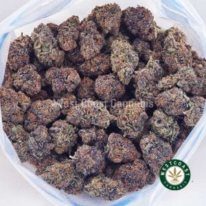 Buy Platinum Grape AAAA+ wc cannabis weed dispensary & online pot shop Buy Platinum Grape AAAA+ wc cannabis weed dispensary & online pot shop