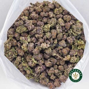 Buy Tangerine Mintz AAAA (Popcorn Nugs)wc cannabis weed dispensary & online pot shop Buy Tangerine Mintz AAAA (Popcorn Nugs)wc cannabis weed dispensary & online pot shop
