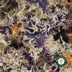 Buy Gelato Mintz AAAA (Popcorn Nugs) wc cannabis weed dispensary & online pot shop Buy Gelato Mintz AAAA (Popcorn Nugs) wc cannabis weed dispensary & online pot shop