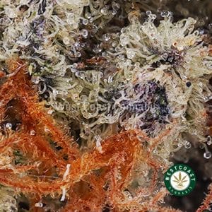 Buy Gorilla Glue #2 AA wc cannabis weed dispensary & online pot shop