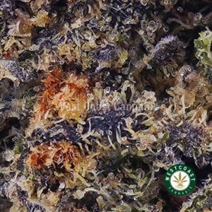 Buy Maui Wowie AAA wc cannabis weed dispensary & online pot shop Buy Maui Wowie AAA wc cannabis weed dispensary & online pot shop