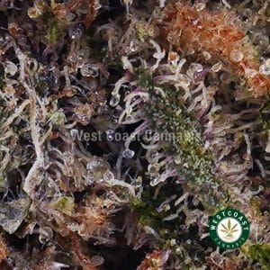 Buy Vanilla Kush AAA wc cannabis weed dispensary & online pot shop