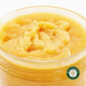 X828A3 PURPLEPUNCH CAVIAR WCCANNABIS Buy Premium Concentrate - Purple Punch Caviar at Wccannabis Online Shop