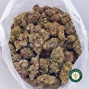 Buy Gelato #41 AAA wc cannabis weed dispensary & online pot shop