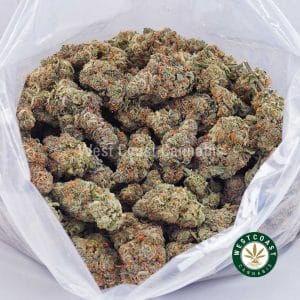 Buy Gushers AAA wc cannabis weed dispensary & online pot shop