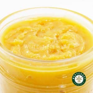 X853A3 AFGHANKUSH CAVIAR WCCANNABIS Buy Caviar - Afghan Kush (Indica) at Wccannabis Online Shop