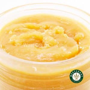 Buy Live/Resin - Purple Urkle (Indica) at Wccannabis Online Shop