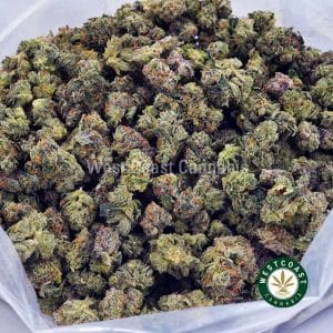 Buy Skywalker OG AAAA (Popcorn Nugs) wc cannabis weed dispensary & online pot shop Buy Skywalker OG AAAA (Popcorn Nugs) wc cannabis weed dispensary & online pot shop